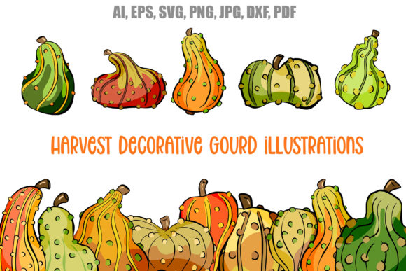 48 Gourd Pumpkin Harvest Thanksgiving Graphics & Illustrations