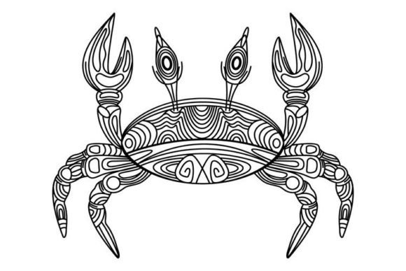 Crab Graphics & Illustrations for Local Branding