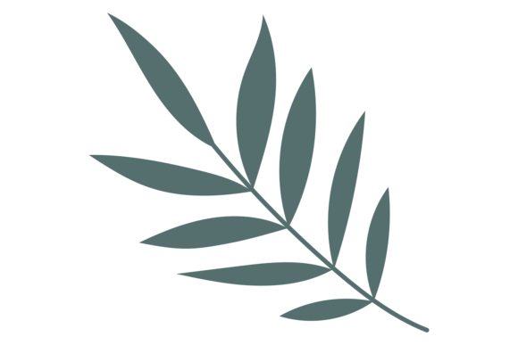 Herbal Leaves Element: Natural Decorative Graphics & Illustrations