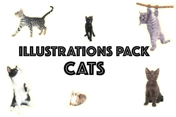 Illustration Pack Cats: Realistic Graphics for Editorial & Website Use