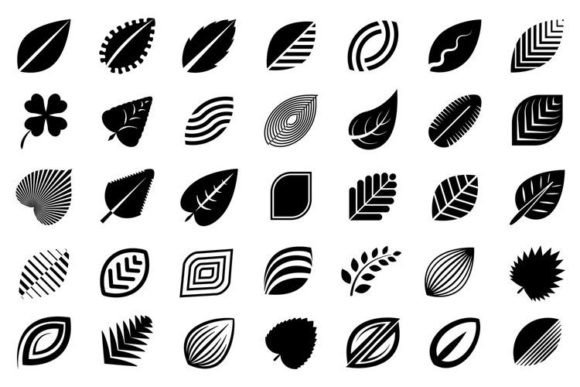 Leaves, Black and White: Clean Graphics & Illustrations for Sellers