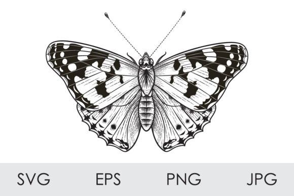 Monochrome Painted Lady Butterfly Graphics & Illustrations